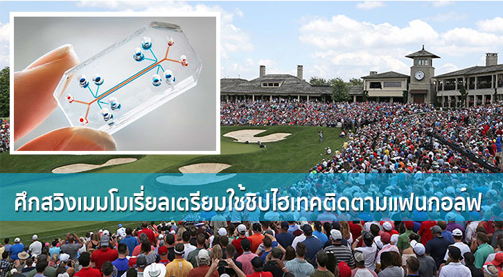 ศึกสวิงเมมโมเรี่ยลเตรียมใช้ตราไฮเทคติดตามแฟนกอล์ฟ